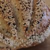 artisan sourdough bread close up organic seven seed