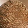 Spelt - Image 3