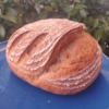 Spelt - Image 2
