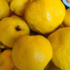 Quince & Apple Conserve - Image 4